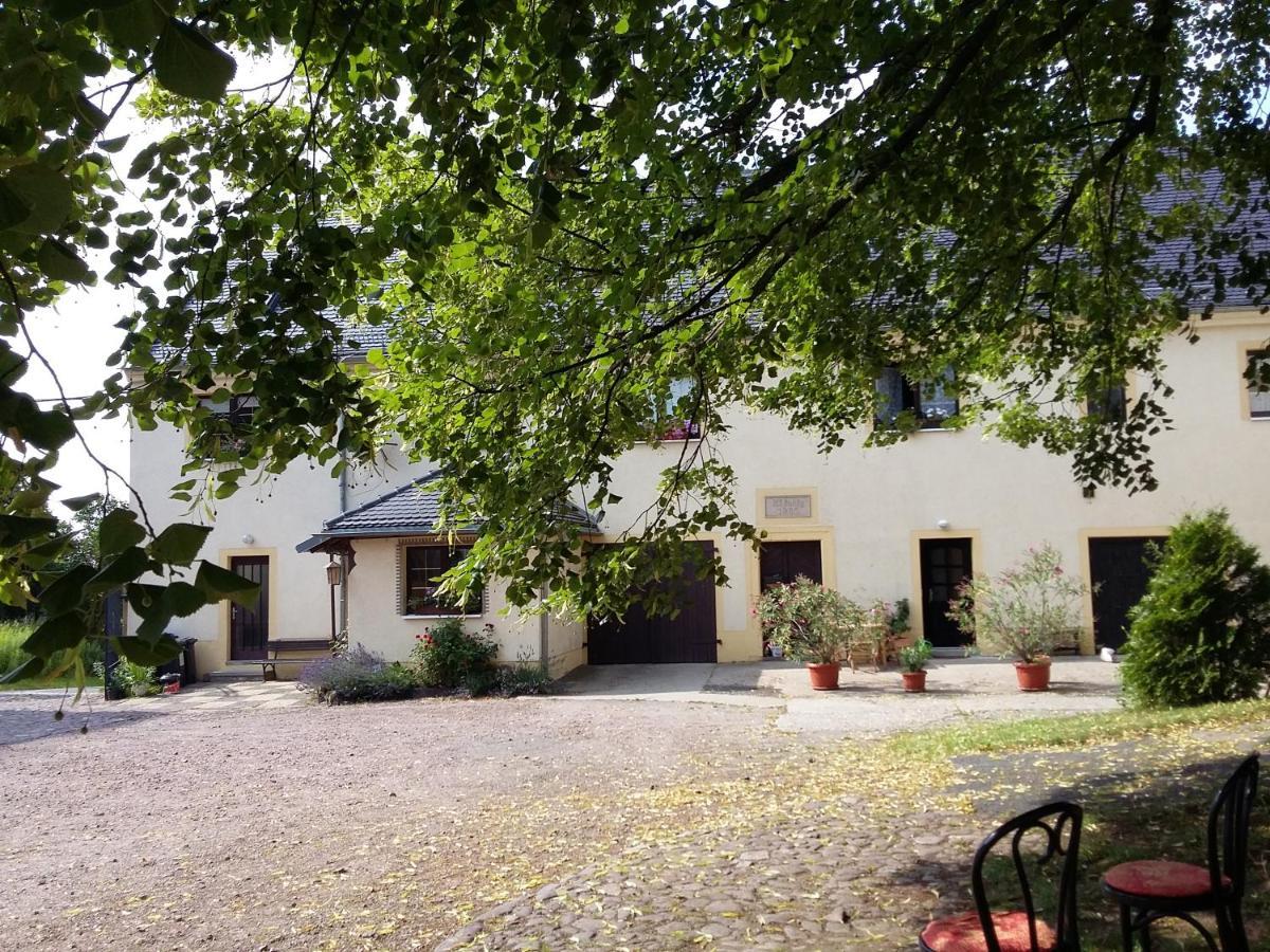 Ferienwohnung Roter Milan Kaisitz Exterior foto