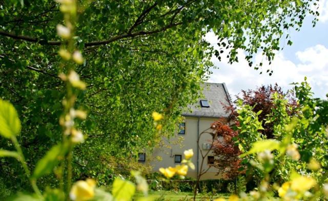 Ferienwohnung Roter Milan Kaisitz Exterior foto